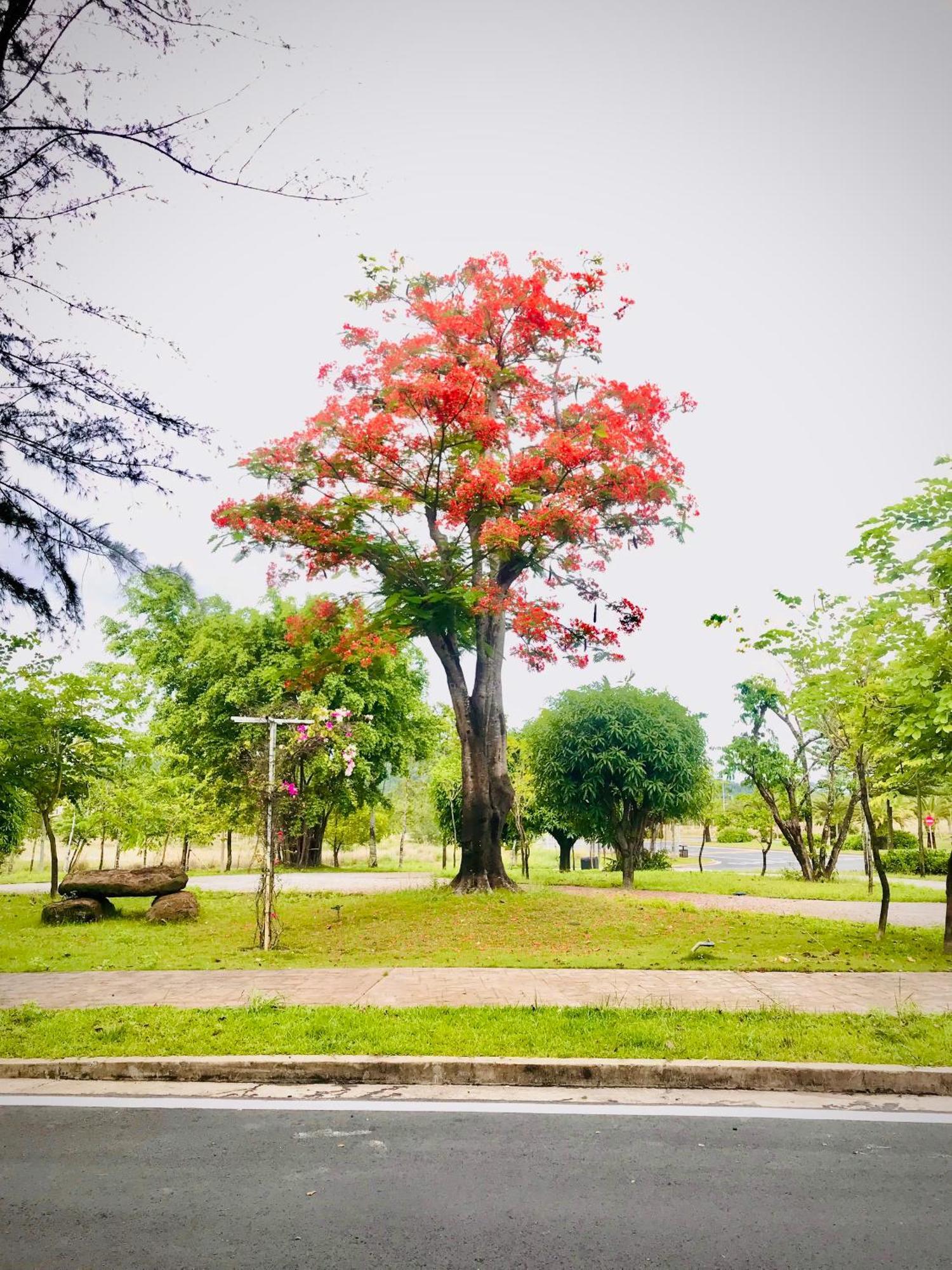 Kalia Hotel ฟู้โกว๊ก ภายนอก รูปภาพ