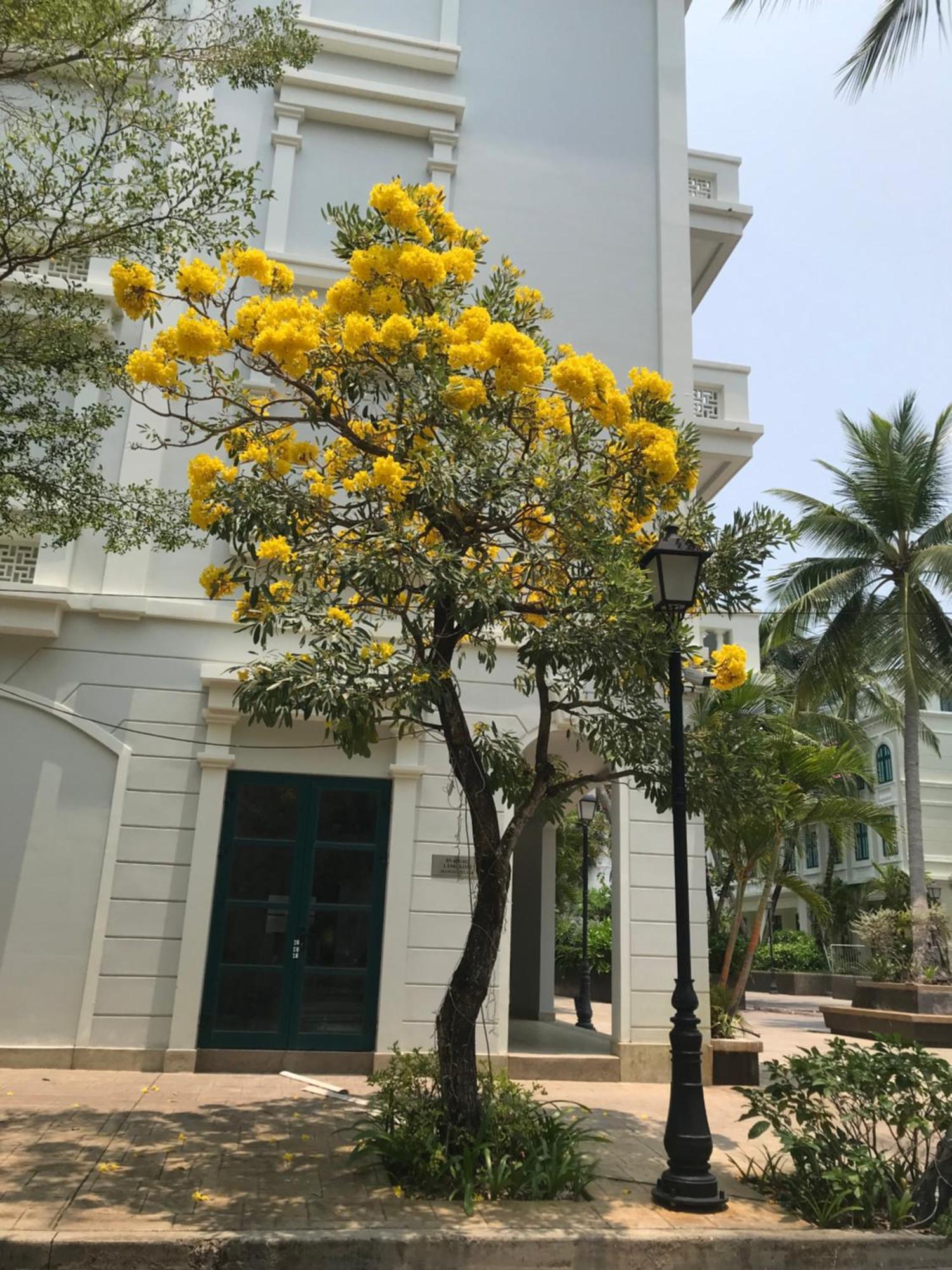 Kalia Hotel ฟู้โกว๊ก ภายนอก รูปภาพ